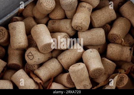 Weinflaschenkorken abgebildet in Chichester, West Sussex, Großbritannien. Stockfoto