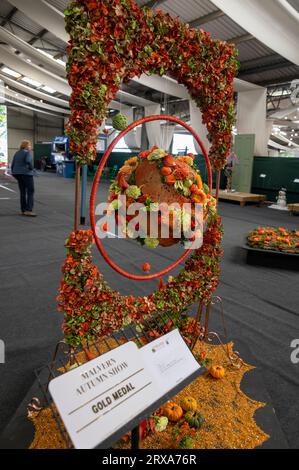 Goldmedaille für diese arrangierte Blumenausstellung im Floral Art Hall bei der Herbstshow Malvern, die auf dem Three Counties Showgrounds in Malvern in Wor stattfindet Stockfoto