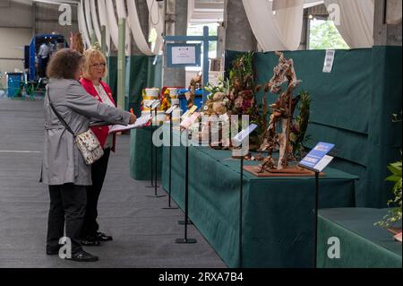 Zwei Richter, die Notizen machen und vergleichen, bei einigen der vielen Ausstellungen in der Floral Art Hall der Malvern Herbstshow, die auf der Three Counties Showg stattfindet Stockfoto