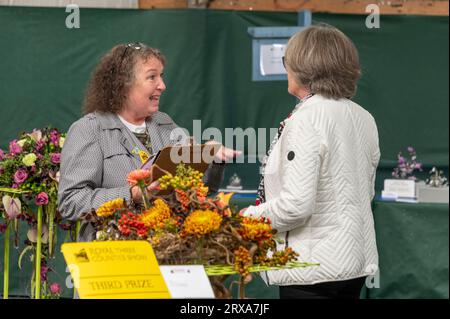 Zwei Richter, die Notizen machen und vergleichen, bei einigen der vielen Ausstellungen in der Floral Art Hall der Malvern Herbstshow, die auf der Three Counties Showg stattfindet Stockfoto