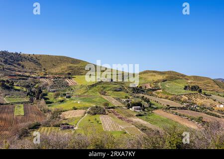 Landschaft mit Weinbergen in der Provinz Marsala auf der Insel Sizilien, Italien Stockfoto