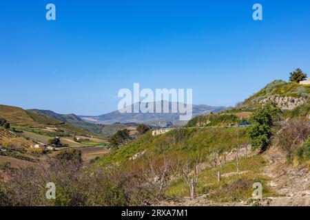 Landschaft mit Weinbergen in der Provinz Marsala auf der Insel Sizilien, Italien Stockfoto