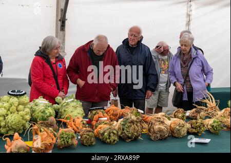 Eine Auswahl an Gemüse auf der Herbstshow Malvern, die auf dem Three Counties Showgrounds in Malvern in Worcestershire, Großbritannien, stattfindet Stockfoto