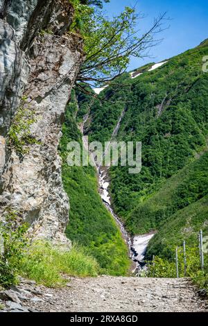 Spektakuläre Wälder und Berglandschaften Alaskas vom Perseverance National Recreation Trail in der Nähe von Juneau, Alaska, USA Stockfoto