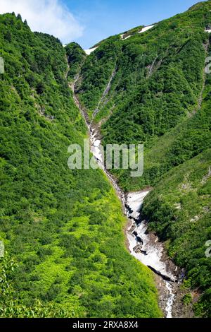 Spektakuläre Wälder und Berglandschaften Alaskas vom Perseverance National Recreation Trail in der Nähe von Juneau, Alaska, USA Stockfoto