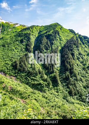 Spektakuläre Wälder und Berglandschaften Alaskas vom Perseverance National Recreation Trail in der Nähe von Juneau, Alaska, USA Stockfoto