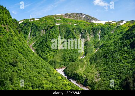 Spektakuläre Wälder und Berglandschaften Alaskas vom Perseverance National Recreation Trail in der Nähe von Juneau, Alaska, USA Stockfoto