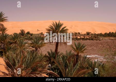 Der ausgetrocknete Mandara-See in den Dünen von Ubari, Libyen Stockfoto