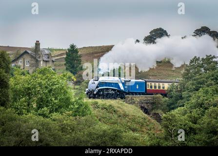Die LNER A4 No. 60007 „Sir Nigel Gresley“ während der North Yorkshire Moors Railway 50th Anniversary Steam Gala. Bilddatum: Sonntag, 24. September 2023. Stockfoto