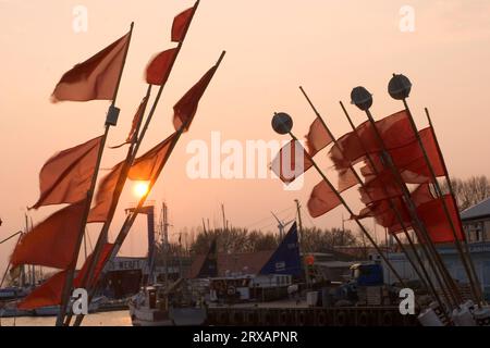 Fischerflaggen im Hafen von Burgstaaken auf Fehmarn Stockfoto