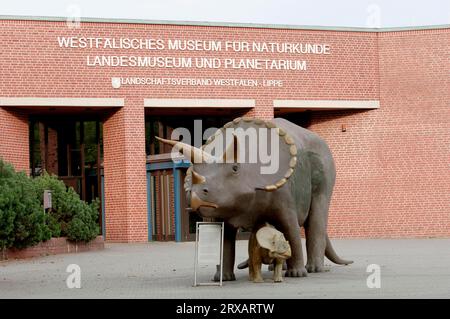 Triceratops Skulptur vor dem Naturhistorischen Museum, Münster, Nordrhein-Westfalen, Deutschland, Dinosaurier Stockfoto