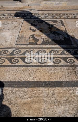 Delos ist eine griechische Insel und archäologische Stätte im Kykladen-Archipel der Ägäis, in der Nähe von Mykonos. Stockfoto