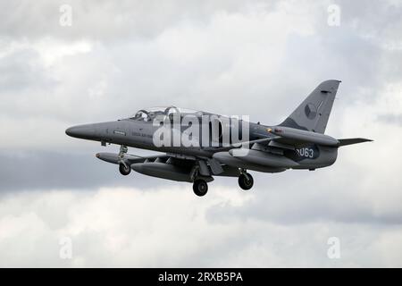 Ein Aero L159 ALCA unterstützt die tschechische Luftwaffe Stockfoto