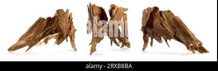 Alte Baumwurzel auf weißem Hintergrund isoliert Stockfoto