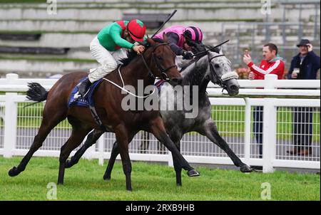 Fahren Sie mit Ronan Whelan (links) durch Athletico auf dem Weg zum Gewinn der Westgrove Hotel Renaissance Stakes (Gruppe 3) am zweiten Tag des Herbstfestivals auf der Curragh Racecourse in County Kildare, Irland. Bilddatum: Sonntag, 24. September 2023. Stockfoto