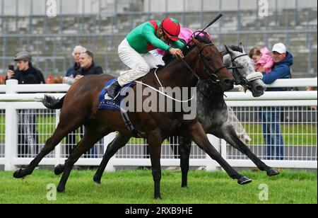 Fahren Sie mit Ronan Whelan (links) durch Athletico auf dem Weg zum Gewinn der Westgrove Hotel Renaissance Stakes (Gruppe 3) am zweiten Tag des Herbstfestivals auf der Curragh Racecourse in County Kildare, Irland. Bilddatum: Sonntag, 24. September 2023. Stockfoto