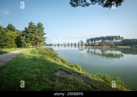 Kühlen Sie am frühen Morgen auf dem Stausee. Morgenlicht. Tau auf dem Gras. Die Halbinsel ist mit einem Kiefernwald bedeckt. Krasnobrod, Roztocze, Polen Stockfoto