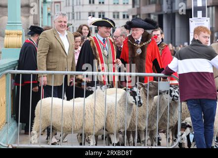 London, UK, 24. September 2023. Freeman und Spitzenkoch Richard Corrigan wurden für den Tag Hirte und nahmen sein altes Recht in Anspruch, Schafe über die Southwark Bridge und die Themse im Zentrum Londons zu fahren. Zu dieser großen Spendensammlung gesellten sich Master Woolman Vincent Keaveny und Sir Andrew Parmley als Lord Mayor Locum Tenenshe & Sheriffs of the City of London. Credit:Monica Wells/Alamy Live News Stockfoto