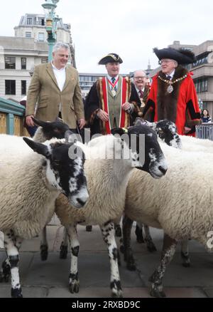 London, UK, 24. September 2023. Freeman und Spitzenkoch Richard Corrigan wurden für den Tag Hirte und nahmen sein altes Recht in Anspruch, Schafe über die Southwark Bridge und die Themse im Zentrum Londons zu fahren. Zu dieser großen Spendensammlung gesellten sich Master Woolman Vincent Keaveny und Sir Andrew Parmley als Lord Mayor Locum Tenenshe & Sheriffs of the City of London. Credit:Monica Wells/Alamy Live News Stockfoto