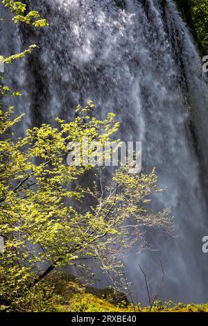 Ein Wasserfall von den oberen Seen fällt über einen Felsvorsprung im Plitvice Nationalpark, Kroatien. Stockfoto
