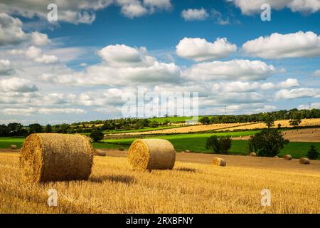 Ein Blick auf die großen Rundballen in einem Feld in der Nähe des Dorfes Newmilns in East Ayrshire zur Erntezeit. Stockfoto