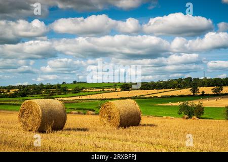 Ein Blick auf die großen Rundballen in einem Feld in der Nähe des Dorfes Newmilns in East Ayrshire zur Erntezeit. Stockfoto