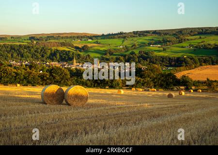 Runde Weizenballen mit dem ehemaligen Spitzenverweberdorf Darvel in East Ayrshire, im Hintergrund sichtbar. Stockfoto