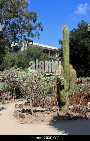 Arizona Garden, Stanford University, Kalifornien Stockfoto