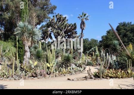 Arizona Garden, Stanford University, Kalifornien Stockfoto