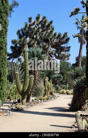 Arizona Garden, Stanford University, Kalifornien Stockfoto