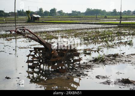 Landwirt pflügt matschiges Feld mit Handtraktor. Ein Landwirt pflügt mit einem Traktor ein mit Wasser gefülltes Reisfeld, um sich auf die nächste Saison vorzubereiten. Stockfoto