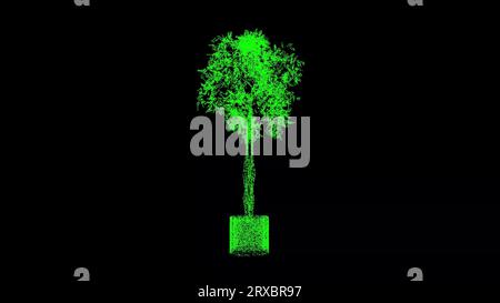 3D-Zierbaum in einem Topf dreht sich auf schwarzem Hintergrund. Dekor und Pflanzenkonzept. Anlagendesign. Hintergrund der Geschäftswerbung. Für Titel, Text, Prese Stockfoto