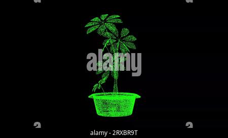 Die 3D-Frühlingsblume in einem Topf dreht sich auf schwarzem Hintergrund. Dekor und Pflanzenkonzept. Anlagendesign. Hintergrund der Geschäftswerbung. Für Titel, Text, vorhanden Stockfoto