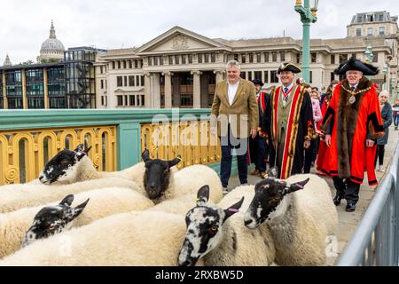 London, Großbritannien, 24. September 2023, Chef Freeman Richard Corrigan, Master of the Woolmen's Company - Alderman Vincent Keavney, Sir Andrew Parlmley Lord Mayor of Locum tenens und Sheriffs of the City führen den First Drive über die Southwark Bridge, bei dieser jährlichen Wohltätigkeitsveranstaltung wird die Tradition des Freemen-Rechts bekräftigt, Schafe über die Themse zu „fahren“. Chrysoulla.Photography/Alamy Live News Stockfoto