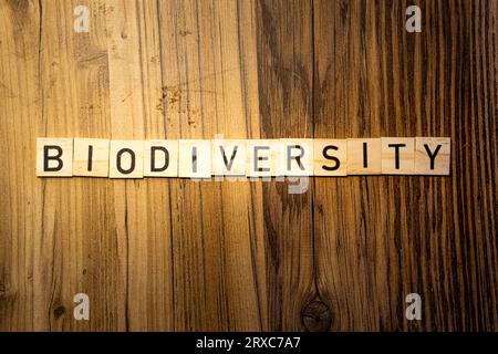 Biodiversitätsbegriffwort in Holzbuchstaben auf dunklem Holzhintergrund Stockfoto