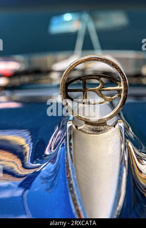 BADEN-WÜRTTEMBERG : BUICK-EMBLEM Stockfoto