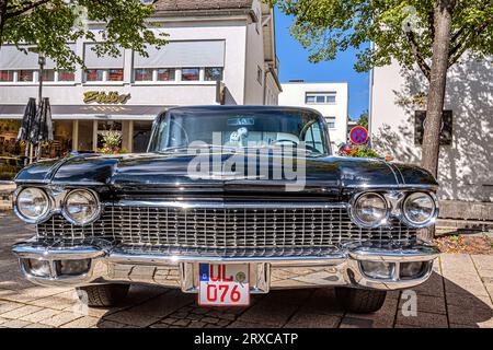 BADEN-WÜRTTEMBERG : SCHWARZMACHT Stockfoto