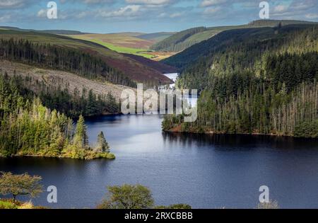 Llyn Brianne, ein künstlich angelegter Stausee und Staudamm im Quellgebiet des River Towy in Mid Wales, Großbritannien Stockfoto