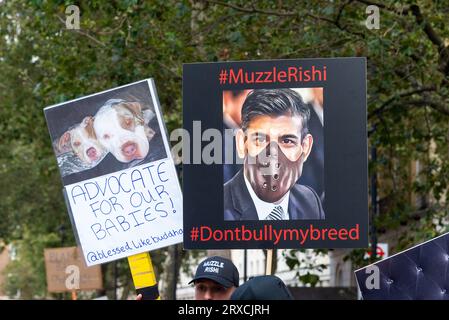 Protest gegen das Verbot von XL-Bulldoggen in Großbritannien bis Ende 2023. Der XL ist eine Variante der amerikanischen Bully-Rasse. Schild mit Rishi Sunak-Schnauze Stockfoto