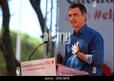 Gava, Spanien. September 2023. Der amtierende Präsident der spanischen Regierung Pedro Sánchez spricht während des Rosenfestes der Katalanischen Sozialistischen Partei in Gava. Die politische Partei PSK (Sozialistische Partei Kataloniens) feiert das Rosenfest in der Stadt Gava, an dem der erste Sekretär der Spanischen Sozialistischen Arbeiterpartei (PSOE) und amtierender Präsident der spanischen Regierung Pedro Sanchez zusammen mit dem Ersten Sekretär der PSC Salvador Illa und der Bürgermeisterin von Gava, Gemma Badia, teilgenommen hat. Quelle: SOPA Images Limited/Alamy Live News Stockfoto