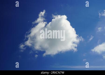 Flauschige weiße Cumuluswolke gegen blauen Himmel Stockfoto