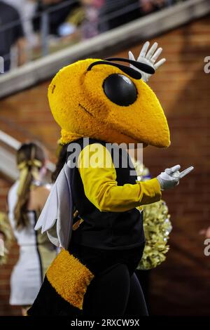 23. September 2023: Georgia Tech, gelbes Jackenmaskottchen. NCAA-Fußballspiel zwischen der Georgia Tech University und der Wake Forest University im Allegacy Federal Credit Union Stadium, Winston Salem, North Carolina. David Beach/CSM Stockfoto