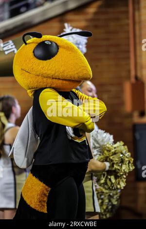 23. September 2023: Georgia Tech, gelbes Jackenmaskottchen. NCAA-Fußballspiel zwischen der Georgia Tech University und der Wake Forest University im Allegacy Federal Credit Union Stadium, Winston Salem, North Carolina. David Beach/CSM Stockfoto
