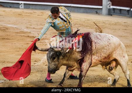 Der Stierkämpfer Serafín Marín während des Stierkampfes von Corrida de Toros auf der Plaza de las Ventas in Madrid, 24. September 2023 Spanien (Foto: Oscar) Stockfoto