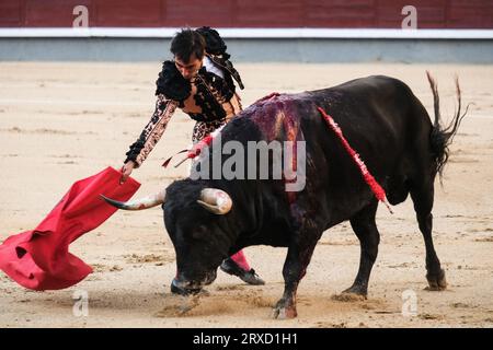 Madrid, Spanien. September 2023 25. Der Stierkämpfer Gomez del Pilar während des Stierkampfes von Corrida de Toros auf der Plaza de las Ventas in Madrid, 24. September 2023 Spanien (Foto: Oscar Gonzalez/SIPA USA) (Foto: Oscar Gonzalez/SIPA USA) Credit: SIPA USA/Alamy Live News Stockfoto