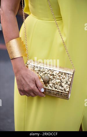 Detail einer Frau mit gelbem Kleid und breitem goldenem Armreif mit goldener Geldbörse. Stockfoto