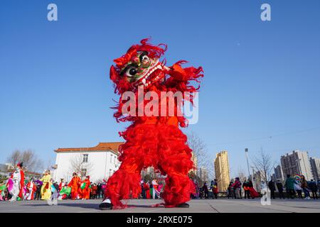 Luannan County, China - 29. Januar 2023: Die Menschen führen Löwentänze auf den Straßen während des Frühlingsfestes im Luannan County, Provinz Hebei, China auf Stockfoto