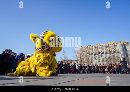 Luannan County, China - 29. Januar 2023: Die Menschen führen Löwentänze auf den Straßen während des Frühlingsfestes im Luannan County, Provinz Hebei, China auf Stockfoto