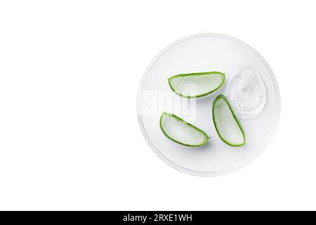 Aloe Vera schneidet mit Aloe Gel auf Petrischale auf weißem Hintergrund. Aloe Vera Kräutermedizin. Naturkosmetik-Hintergrund mit Kopierraum. Stockfoto