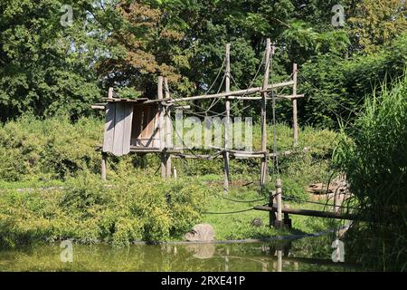 Bilder aus dem Zoo in Dortmund im Spätsommer Stockfoto